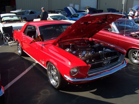 2002 Ford Mustang - Red classic Ford Mustang parked at an outdoor car show, hood open to display the engine.