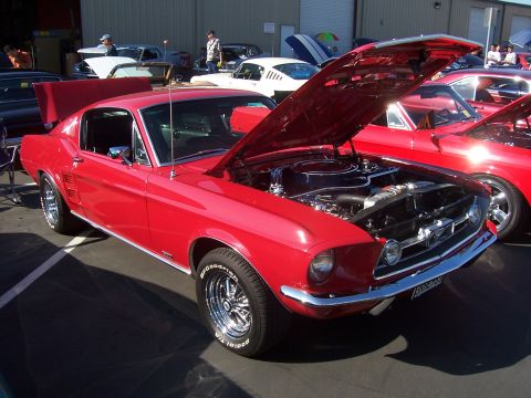 2002 Ford Mustang - A red classic Ford Mustang is displayed with its hood open, alongside other vehicles.