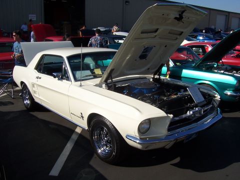 2002 Ford Mustang - A white 1967 Ford Mustang coupe is displayed with its hood open, revealing the engine bay. Other vehicles are parked nearby.