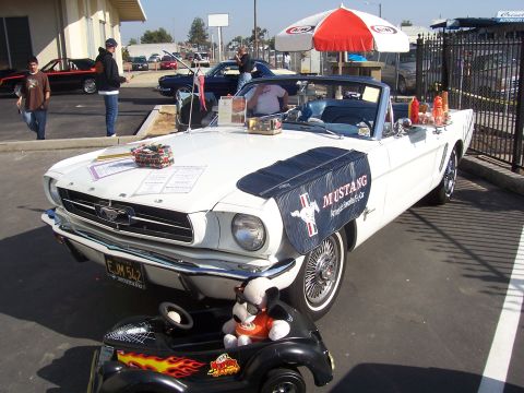 2002 Ford Mustang - A white 1965 Ford Mustang convertible is displayed with a blue fender cover and a toy car in front.