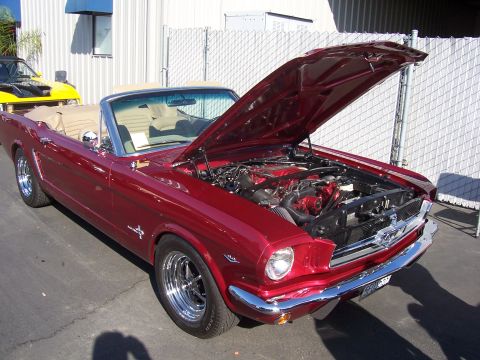 2002 Ford Mustang - A classic red 1965 Ford Mustang convertible is displayed with its hood open, revealing the engine bay.