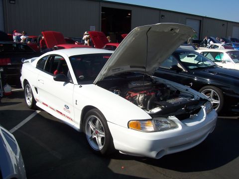 2002 Ford Mustang - White Ford Mustang with hood open, parked at an outdoor car show. Other vehicles are visible in the background.