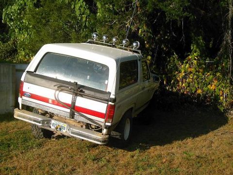 1986 Ford Bronco - Rear view of a white 1986 Ford Bronco, a red stripe and auxiliary lights on the roof.