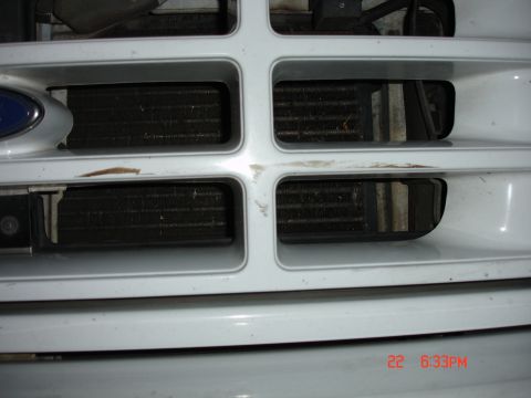 1996 Ford Bronco - Front grille of a Ford truck, showing the radiator behind the white bars. The date stamp indicates it was taken on the 22nd.