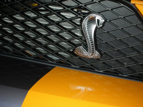1998 Ford Crown Victoria - Close-up of a chrome Cobra snake emblem set in a black honeycomb grille above yellow bodywork.