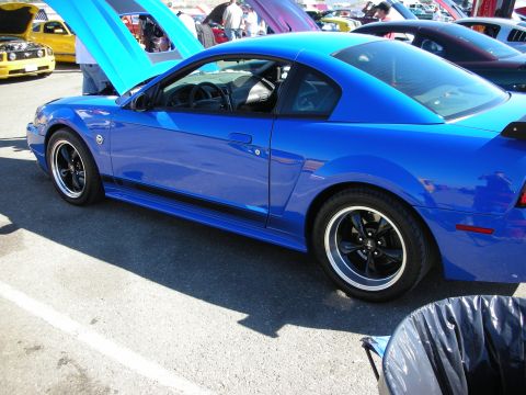 1998 Ford Crown Victoria - Bright blue Ford Mustang coupe with black five-spoke wheels photographed from the side in a crowded outdoor car show.