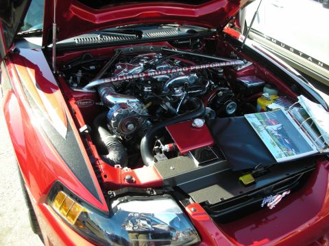 1998 Ford Crown Victoria - Engine compartment of a red Ford Mustang featuring a chrome strut brace, Edelbrock parts, and a brochure resting near the battery.