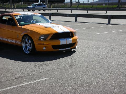 1998 Ford Crown Victoria - orange Shelby GT500 Mustang with white racing stripes and chrome wheels sitting on a racetrack.