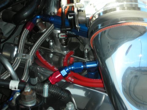 1998 Ford Crown Victoria - Detail of blue and red anodized AN fittings and braided stainless lines routed near a polished tank in an engine bay.