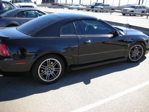 1998 Ford Crown Victoria - Black Ford Mustang coupe parked in profile with five-spoke wheels, with other cars in the background.