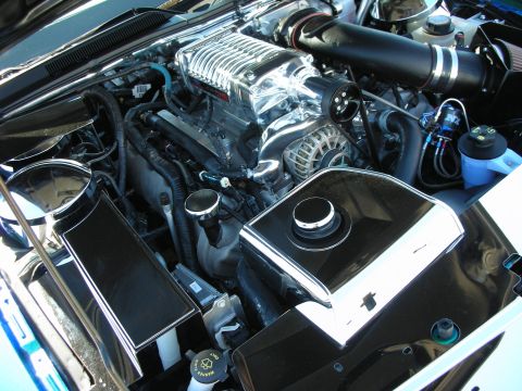 1998 Ford Crown Victoria - Modified engine bay with a supercharger, polished panels, cone air filter and intercooler piping.