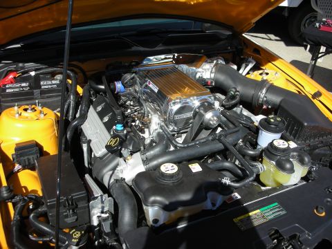 1998 Ford Crown Victoria - Engine bay of an orange Mustang showing a supercharger, polished intercooler and black intake tubing.