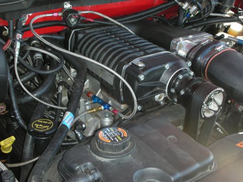 1998 Ford Crown Victoria - Supercharged engine with a black blower, braided stainless lines and red-blue AN fittings in an engine bay.