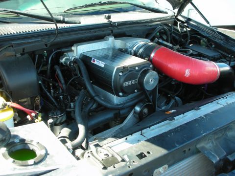 1998 Ford Crown Victoria - open engine bay showing a silver supercharger unit, a red silicone intake elbow, and dense black wiring and hoses.