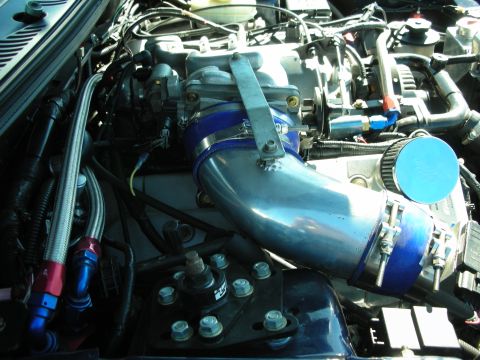 1998 Ford Crown Victoria - engine bay featuring a polished aluminum intake elbow with blue silicone couplers, braided steel lines, and blue fittings.