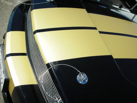 1998 Ford Crown Victoria - Close-up of a black Mustang's hood showing gold racing stripes, a chrome grille, and a polished flush-mount hood pin with lanyard.