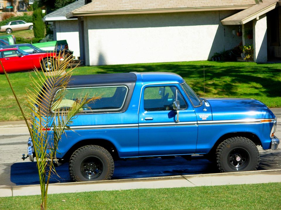 1979 Ford Bronco “one bad pony”