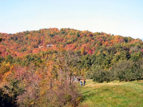 1985 Ford LTD Crown Victoria - A group of people hike along a path with a vibrant fall forest stretching across a distant hill under a clear blue sky.