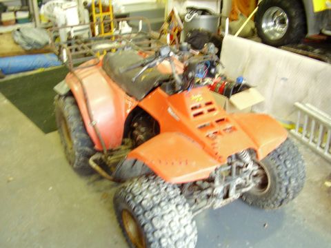 1985 Suzuki QUADRUNNER 250/LT250