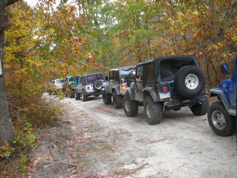 1997 Jeep TJ - A convoy of Jeeps navigates a wooded trail during autumn, with the lead vehicles partially obscured by trees.