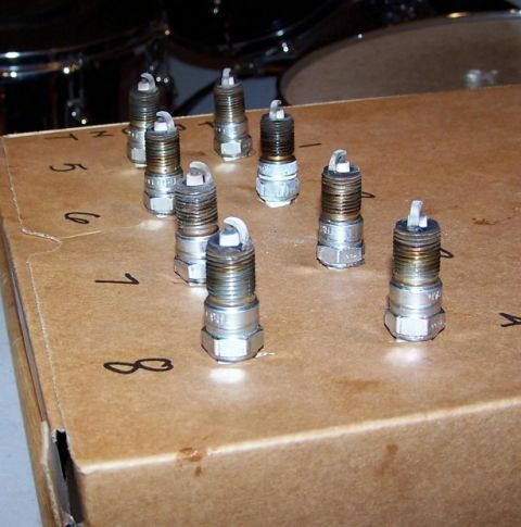 2000 Ford Crown Victoria - Spark plugs are laid out on a numbered cardboard box, possibly for organization or identification.