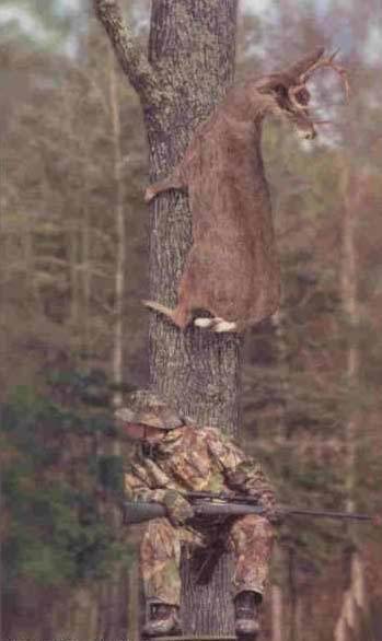 1986 Ford Bronco - A hunter sits in a tree stand with a rifle, while a deer carcass hangs from the tree above him.