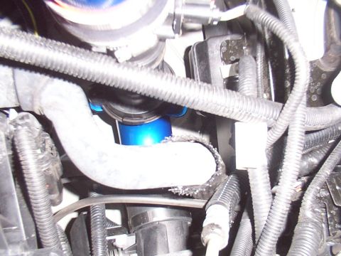2005 Ford Focus photo