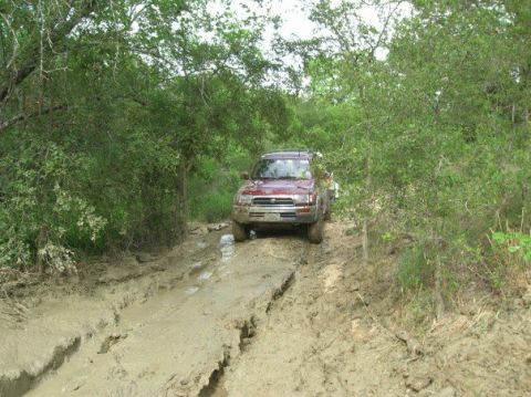 1996 Toyota 4Runner