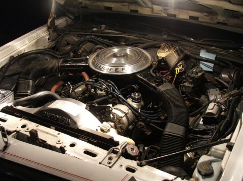 1985 Ford LTD Crown Victoria - The engine bay of a car, showing the air cleaner and radiator fan. The text '5.0 Liter E.F.' is visible.