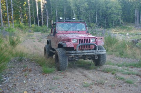 1998 Jeep TJ - A muddy red Jeep Wrangler drives on a dirt path through a wooded area.
