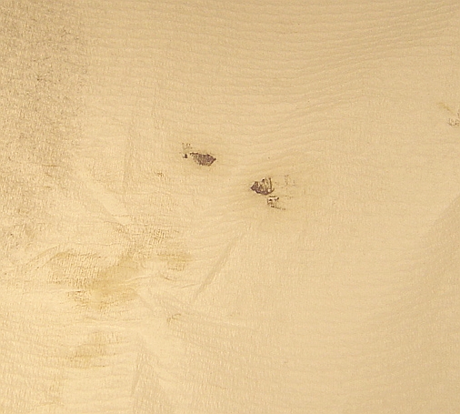 Blurry close-up of a cream textured surface with small dark specks