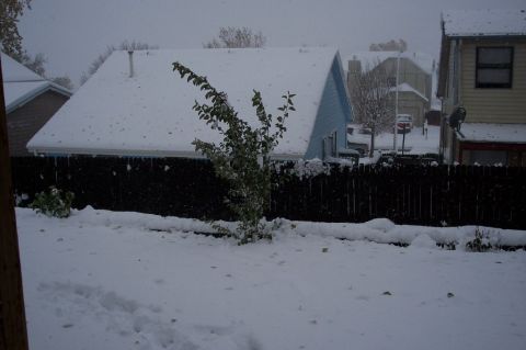 1972 Ford Ranchero - A light snowfall covers the ground and rooftops of a residential neighborhood.