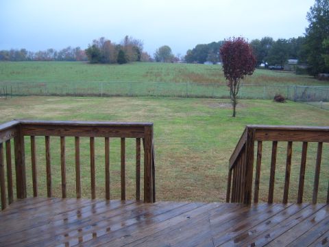 1988 Ford Bronco - A view from a wooden deck shows a wet, grassy field with a lone tree and distant trees under an overcast sky.