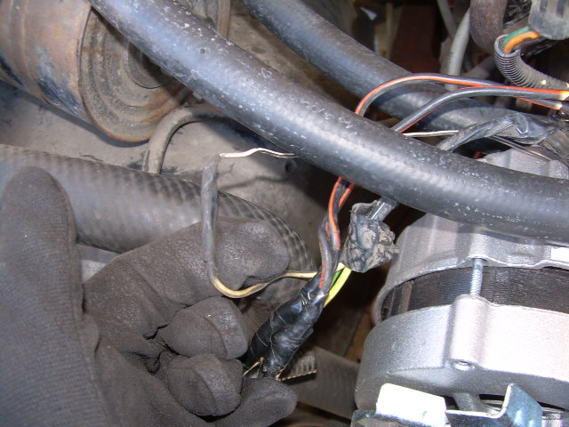 Gloved hand holding wiring connector near alternator in engine bay