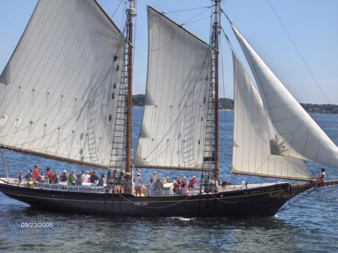 1996 Mercury Grand Marquis - A schooner with full sails glides across the water on a sunny day, carrying numerous passengers.