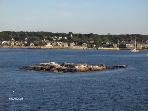 1996 Mercury Grand Marquis - View of a coastal town and harbor with sailboats and a rocky island in the foreground.