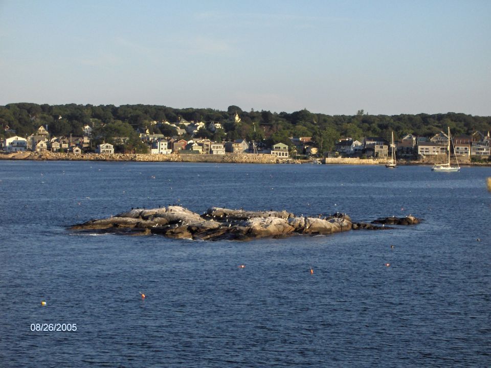Coastal harbor with rocky bird-covered islet, moored sailboats and shoreline town