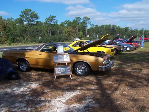 1973 Ford Ranchero - My truck and five Chevrolet copies. A 79 and various 80's style rust magnets.