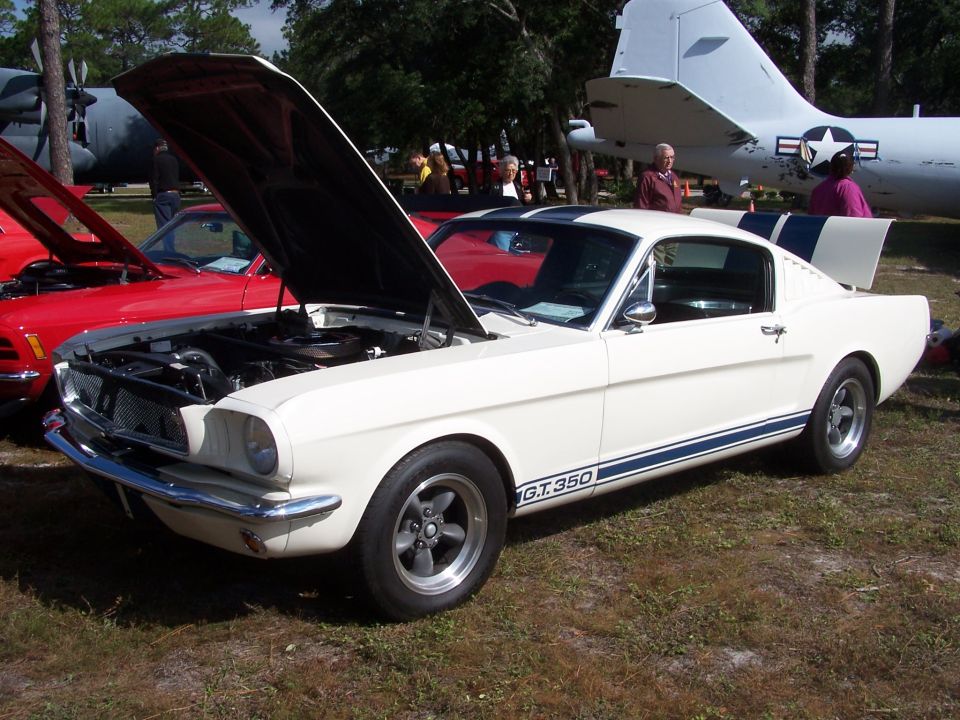 White GT-350 fastback Mustang with blue stripes and open hood at a show