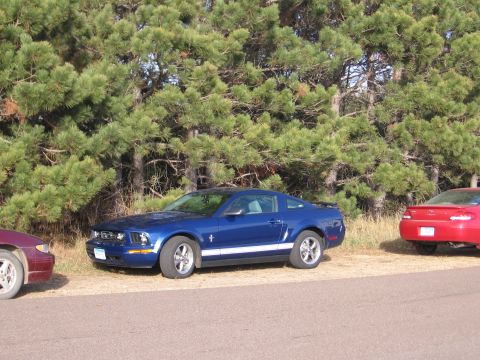 1989 Ford Mustang - Blue Ford Mustang parked roadside with other vehicles nearby.