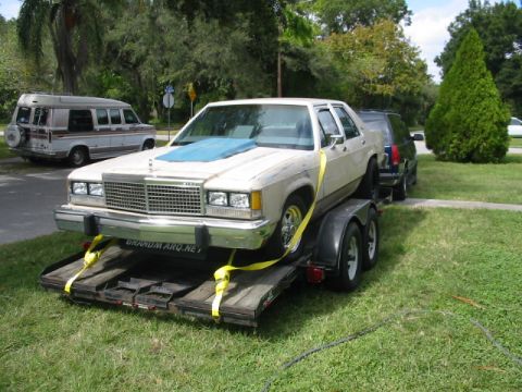 1985 Ford LTD Crown Victoria - A white Ford sedan is secured to a trailer, with a blue cover over its hood, parked on a grassy area.