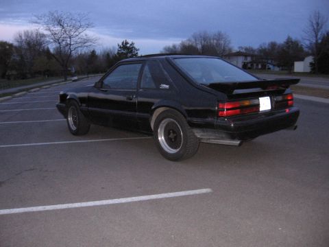 1989 Ford Mustang - Fobra Tails! end of '06.