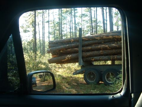 1995 Ford Bronco - A logging truck is parked on a dirt road surrounded by trees, carrying a large load of logs.