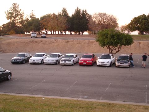 1993 Ford Taurus - A lineup of Ford Taurus sedans, mostly white, with one red and one dark green, parked in an outdoor lot.