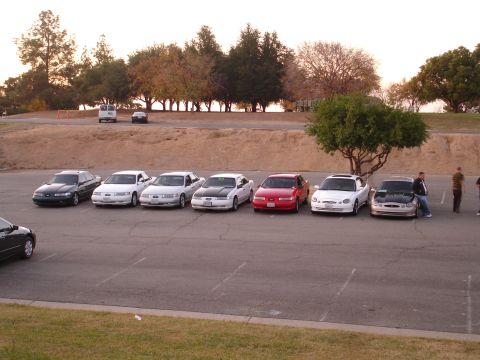 1993 Ford Taurus - Several Ford Taurus sedans are parked in a lot, with one vehicle's hood open, revealing its engine.