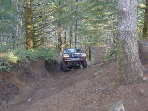 1995 Ford Bronco photo