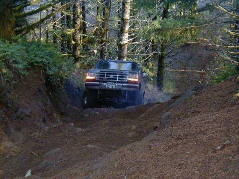 1995 Ford Bronco photo