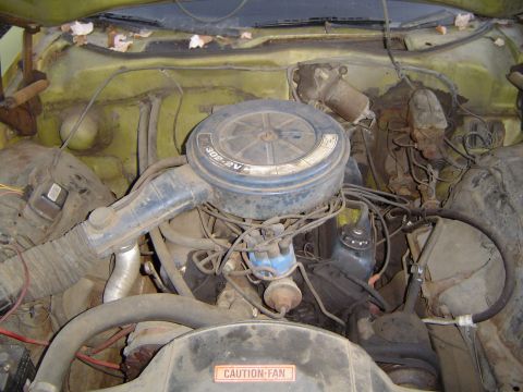1973 Ford Torino - 302 2bbl