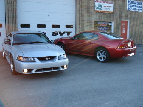 1998 Ford Taurus - Two Ford Mustangs, one silver and one red, are parked outside a building with SVT branding.