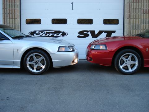 1998 Ford Taurus - Two Ford Mustangs, likely from the early 2000s, are parked in front of a garage door.